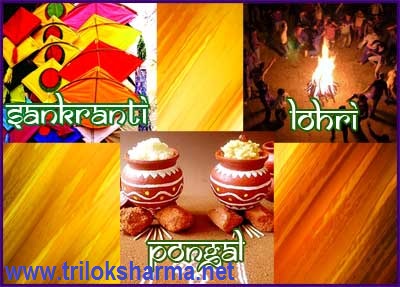 sankranti-lohri-pongal-2